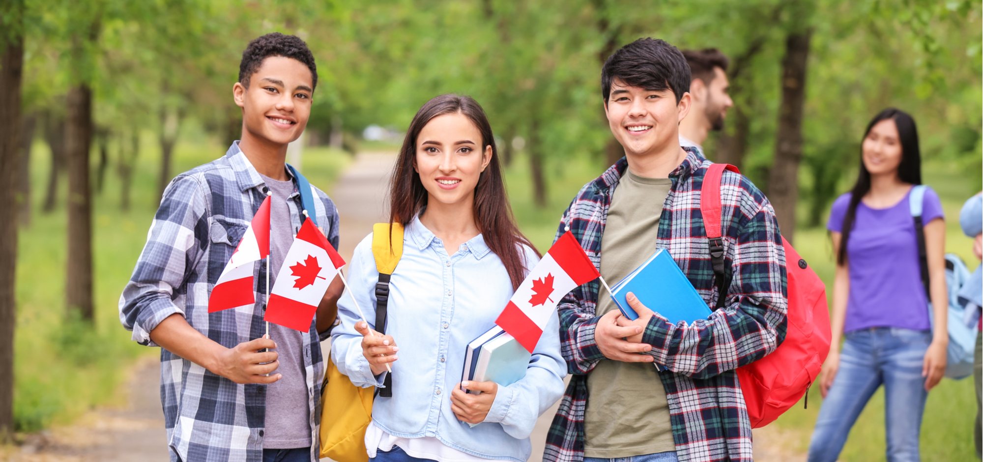 How to Study Abroad in the Canada | Programs and Best Steps